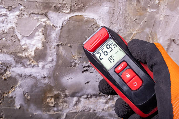Best Emergency Mold Remediation in Wurtsboro, NY